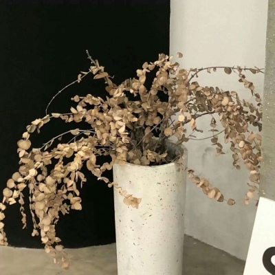 吉隆福瑞交流群